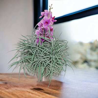 Aranjament din flori artificiale Imperial | Orhidee real touch | Bijuterie ametist, cristale argintii | AF0100