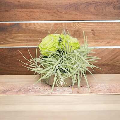 Aranjament din flori artificiale Prospetime | Trandafiri real touch | Bijuterie perla verde, cristale verzi | AF0145
